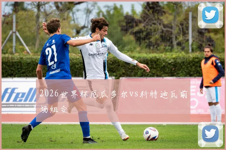 2026世界杯厄瓜多尔vs科特迪瓦前场组合