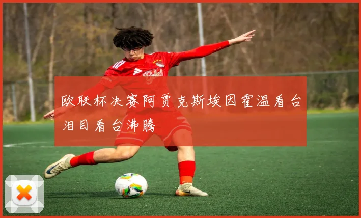欧联杯决赛阿贾克斯埃因霍温看台泪目看台沸腾