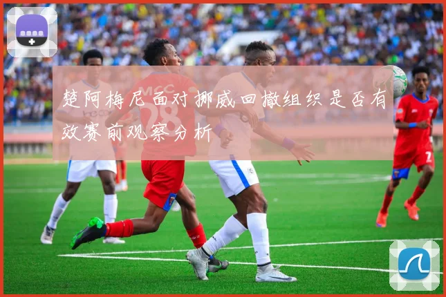 楚阿梅尼面对挪威回撤组织是否有效赛前观察分析