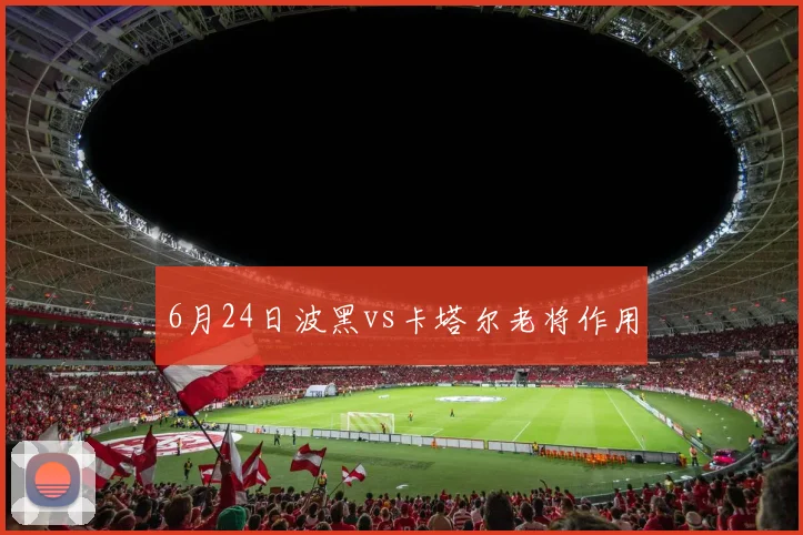 6月24日波黑vs卡塔尔老将作用