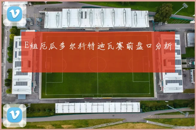 E组厄瓜多尔科特迪瓦赛前盘口分析