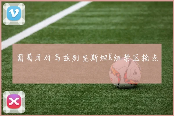 葡萄牙对乌兹别克斯坦K组禁区抢点