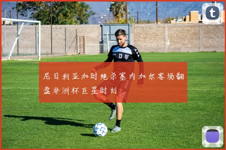 尼日利亚加时绝杀塞内加尔客场翻盘非洲杯巨星时刻