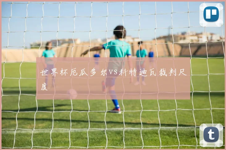 世界杯厄瓜多尔vs科特迪瓦裁判尺度
